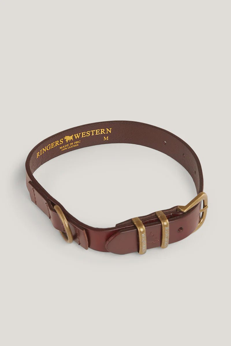 WALKER DOG COLLAR - TAWNY BROWN / GOLD - The Work Pit